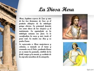 La Diosa Hera
• Hera, legítima esposa de Zeus y una
de las tres hermanas de Zeus en el
panteón olímpico de la mitología
griega clásica. Su principal función
era como diosa de las mujeres y el
matrimonio. Su equivalente en la
mitología romana era Juno. Se le
sacrificaban la vaca y más tarde el
pavo real. Su madre era Rea y su
padre Crono.
• Se representa a Hera majestuosa y
solemne, a menudo en el trono y
coronada con el Polos, pudiendo llevar
en su mano la granada, símbolo de la
fértil sangre y la muerte, y sustituto de
la cápsula narcótica de la amapola.
 