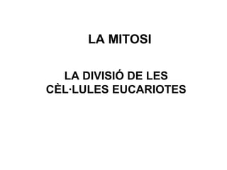 LA MITOSI
LA DIVISIÓ DE LES
CÈL·LULES EUCARIOTES

 