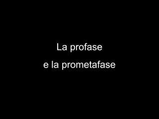 La profase
e la prometafase
 