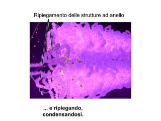 Ripiegamento delle strutture ad anello
... e ripiegando,
condensandosi.
 
