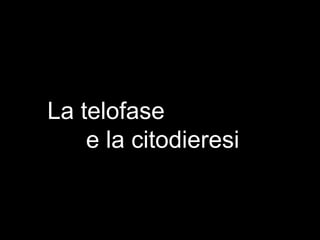 La telofase
e la citodieresi
 