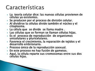  La teoría celular dice: las nuevas células provienen de
células ya existentes.
 Se producen por el proceso de división celular.
 Al dividirse la células divide también el núcleo y el
citoplasma.
 La célula que se divide se llama madre .
 Las células que se forman se llaman células hijas.
 Es el proceso de reproducción de organismos
unicelulares y pluricelulares.
 Favorece el crecimiento, la reparación de tejidos y el
desarrollo embrionario.
 Proceso único de la reproducción asexual.
 En este proceso no hay fusión de gametos.
 Aquí, la célula reparte sus cromosomas entre sus dos
células hijas.
 