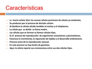 Características
 La teoría celular dice: las nuevas células provienen de células ya existentes.
 Se producen por el proceso de división celular.
 Al dividirse la células divide también el núcleo y el citoplasma.
 La célula que se divide se llama madre .
 Las células que se forman se llaman células hijas.
 Es el proceso de reproducción de organismos unicelulares y pluricelulares.
 Favorece el crecimiento, la reparación de tejidos y el desarrollo embrionario.
 Proceso único de la reproducción asexual.
 En este proceso no hay fusión de gametos.
 Aquí, la célula reparte sus cromosomas entre sus dos células hijas.
 