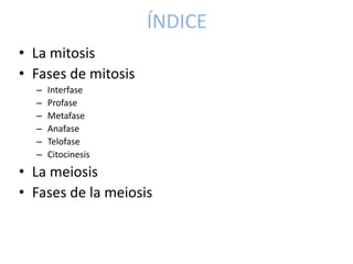 ÍNDICE
• La mitosis
• Fases de mitosis
– Interfase
– Profase
– Metafase
– Anafase
– Telofase
– Citocinesis
• La meiosis
• ...