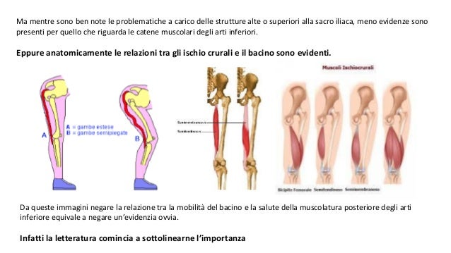 Sclerosi Delle Sincondrosi Sacro Iliache E Della Sinfisi Pubica