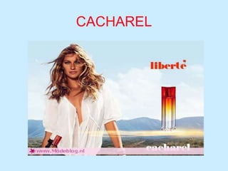 CACHAREL
 