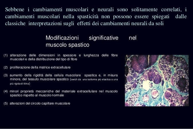Operazione di un sapozhkov di un pene