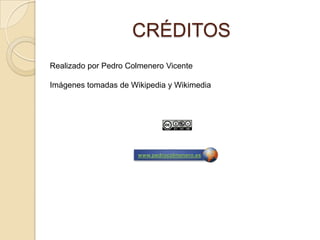 CRÉDITOS
Realizado por Pedro Colmenero Vicente

Imágenes tomadas de Wikipedia y Wikimedia




                      www.pedrocolmenero.es
 