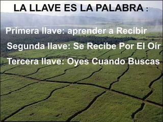 Es el hecho de que Dios está contigo. 