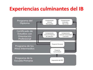 Experiencias culminantes del IB
 