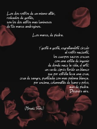 L´Amor II