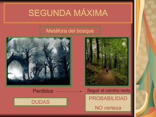 SEGUNDA MÁXIMA Probabilidad NO certeza Metáfora del bosque DUDAS PROBABILIDAD NO certeza Perdidos Seguir   el camino recto 