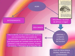 ALMAENTENDIMIENTOVOLUNTAD ( facultad de afirmar o negar)IDEA INNATALIBERTAD, la máxima perfección del hombre“ Por lo demás, es tan evidente que tenemos una voluntad libre que puede dar asentimiento, o cuando le plazca no darlo, que ésta puede ser contada como una de las primeras y más comunes nociones, innatas en nostros…” Principios de la Filosofía I-39VSTESIS DE PRESCIENCIA DIVINA, DERIVAD DEL LUTERANISMO