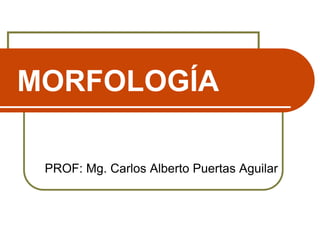 MORFOLOGÍA
PROF: Mg. Carlos Alberto Puertas Aguilar
 