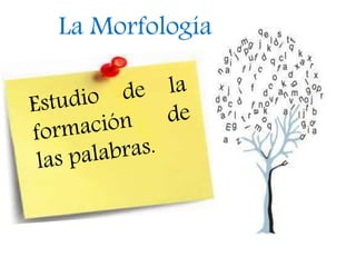 La Morfología 
 