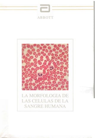 La morfología de las células de la sangre humana