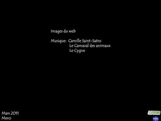 Images du webMusique: Camille Saint-Saëns Le Carnaval des animaux Le CygneMars 2011Merci