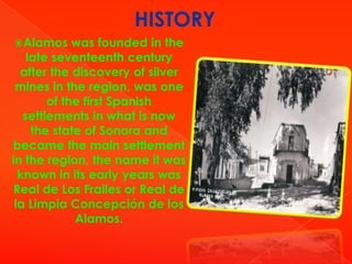 HISTORY
Alamos

was founded in the
late seventeenth century
after the discovery of silver
mines in the region, was one
of the first Spanish
settlements in what is now
the state of Sonora and
became the main settlement
in the region, the name it was
known in its early years was
Real de Los Frailes or Real de
la Limpia Concepción de los
Alamos.

 