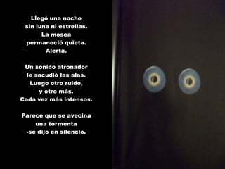 Llegó una noche
 sin luna ni estrellas.
       La mosca
 permaneció quieta.
        Alerta.

 Un sonido atronador
  le sacudió las alas.
   Luego otro ruido,
      y otro más.
Cada vez más intensos.

Parece que se avecina
    una tormenta
 -se dijo en silencio.
 