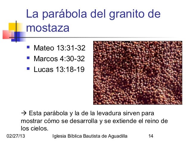La psoriasis del miembro viril de hombre de la foto