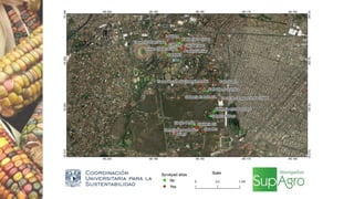 5
19.310
19.310
19.320
19.320
19.330
19.330
19.340
19.340
-99.200
-99.200
-99.190
-99.190
-99.180
-99.180
-99.170
-99.170
-99.160
-99.160
Surveyed sites
No
Yes
Scale
 