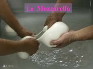 La  Mozzarella by  S. Nocerino 