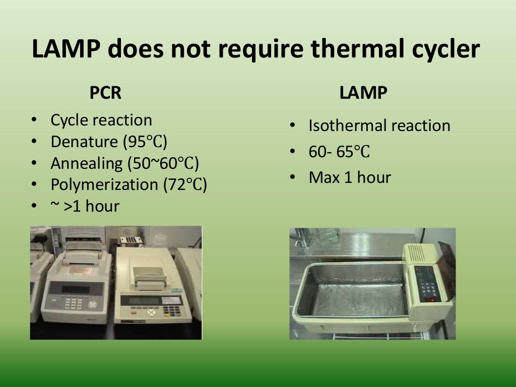 LAMP (Loop Mediated Isothermal Amplification)