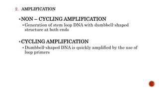 LAMP - Loop-mediated isothermal amplificaton of DNA | PPTX