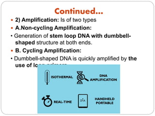 Loop Mediated Isothermal Amplification (LAMP) | PPTX
