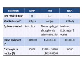 Loop Mediated Isothermal Amplification | PPTX