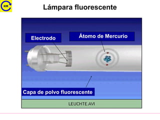 Lámpara fluorescente
Electrodo Átomo de Mercurio
Capa de polvo fluorescente
 