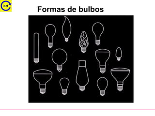 Formas de bulbos
 