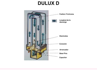 DULUX D
Longitud de la
descarga
Fosforo Trichrome
Electrodos
Conexión
Arrancador
Base Pins
Capacitor
 
