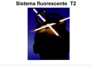 Sistema fluorescente T2
 