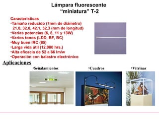 Lámpara fluorescente
“miniatura” T-2
Caracteristicas
•Tamaño reducido (7mm de diámetro)
21.8, 32.0, 42.1, 52.3 (mm de longitud)
•Varias potencias (6, 8, 11 y 13W)
•Varios tonos (LDD, BF, BC)
•Muy buen IRC (85)
•Larga vida útil (12,000 hrs.)
•Alta eficacia de 52 a 66 lm/w
•Operación con balastro electrónico
Aplicaciones
•Señalamientos •Cuadros •Vitrinas
 