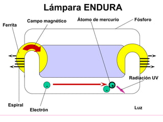 -
-
+
Ferrita
Campo magnético
Electrón
Átomo de mercurio Fósforo
Radiación UV
Luz
Espiral
Lámpara ENDURA
 