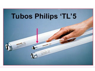 Tubos Philips ‘TL’5
 