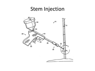 Stem Injection Tool Injection of Herbicides into Rhizomes of Knotweeds and Other Invasive ...