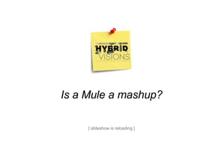 Is a Mule a mashup? [ slideshow is reloading ] 