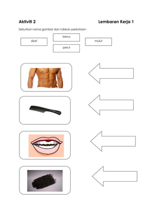 Aktiviti 2 Lembaran Kerja 1
Sebutkan nama gambar dan tuliskan perkataan
sikat
perut
berus
mulut
 