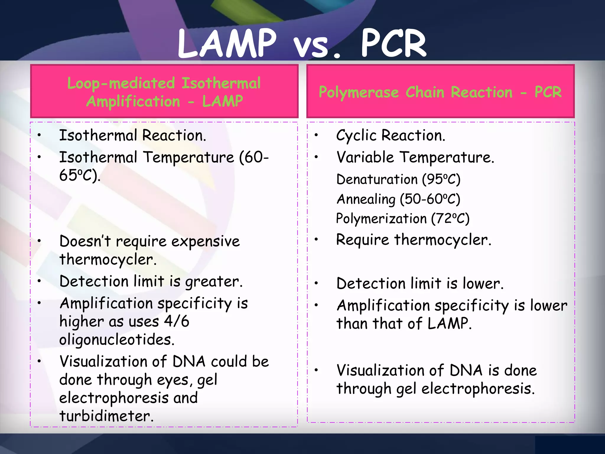 LAMP PCR
