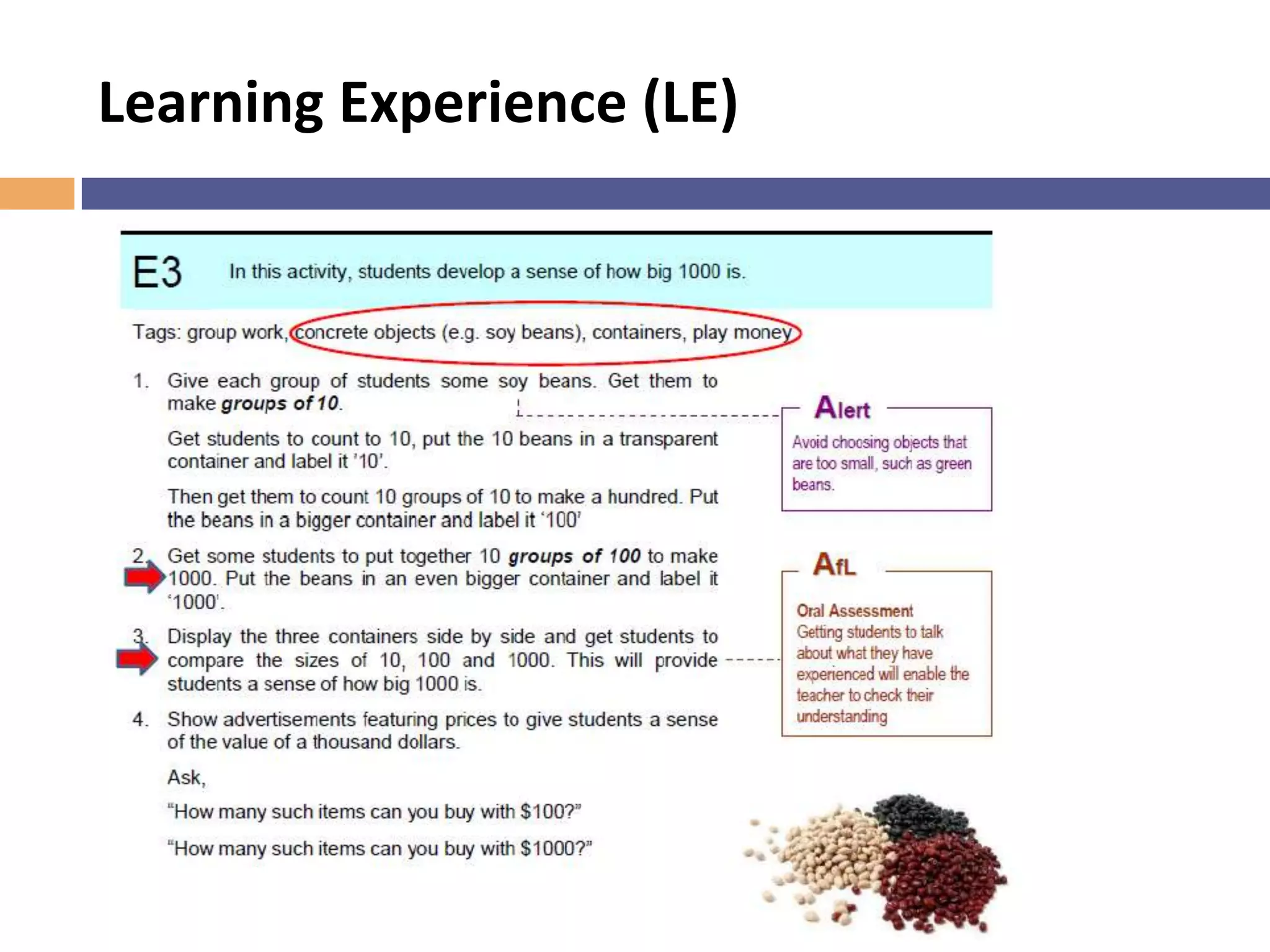 Learning Experience (LE)
 