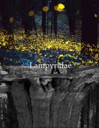 Lampyridae
 