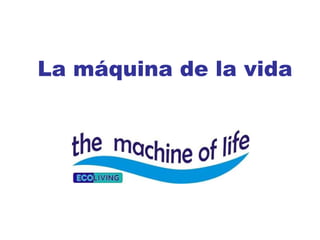 La máquina de la vida http:// www.lamaquinadelavida.com / 
