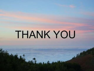 THANK YOU
 
