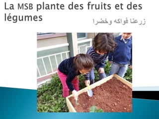 La MSB plante des fruits et des légumes