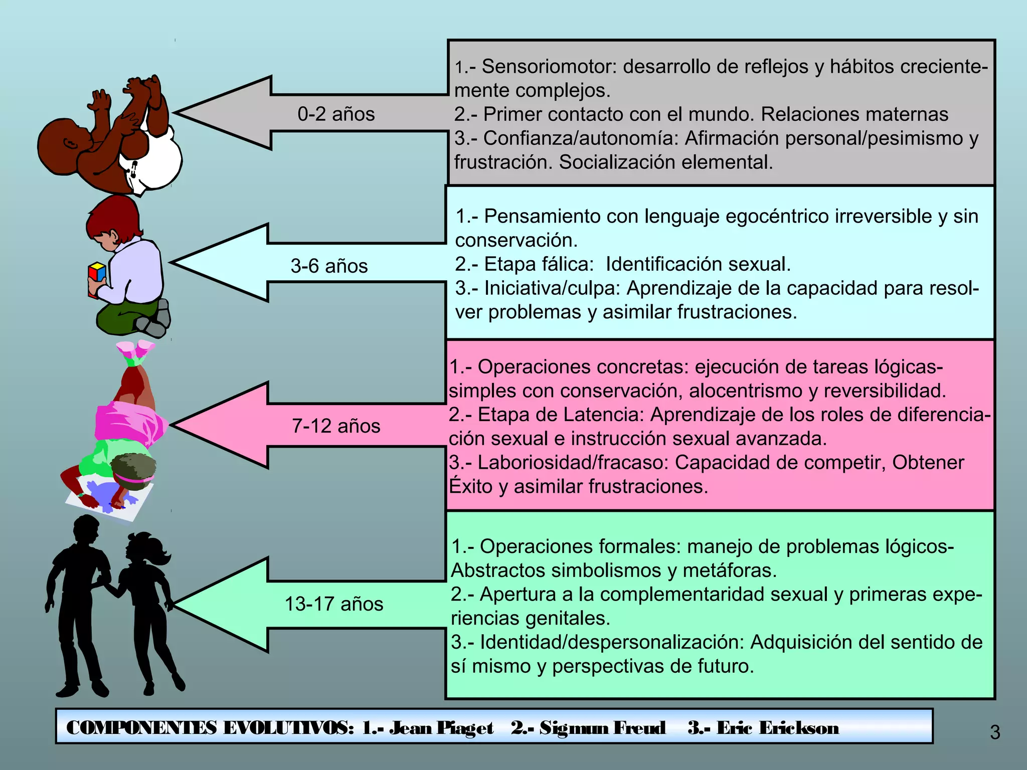 1.- Sensoriomotor: desarrollo de reflejos y hábitos creciente-
mente complejos.
2.- Primer contacto con el mundo. Relaciones maternas
3.- Confianza/autonomía: Afirmación personal/pesimismo y
frustración. Socialización elemental.
1.- Pensamiento con lenguaje egocéntrico irreversible y sin
conservación.
2.- Etapa fálica: Identificación sexual.
3.- Iniciativa/culpa: Aprendizaje de la capacidad para resol-
ver problemas y asimilar frustraciones.
0-2 años
3-6 años
1.- Operaciones concretas: ejecución de tareas lógicas-
simples con conservación, alocentrismo y reversibilidad.
2.- Etapa de Latencia: Aprendizaje de los roles de diferencia-
ción sexual e instrucción sexual avanzada.
3.- Laboriosidad/fracaso: Capacidad de competir, Obtener
Éxito y asimilar frustraciones.
1.- Operaciones formales: manejo de problemas lógicos-
Abstractos simbolismos y metáforas.
2.- Apertura a la complementaridad sexual y primeras expe-
riencias genitales.
3.- Identidad/despersonalización: Adquisición del sentido de
sí mismo y perspectivas de futuro.
7-12 años
13-17 años
COMPONENTES EVOLUTIVOS: 1.- Jean Piaget 2.- Sigmun Freud 3.- Eric Erickson 3
 