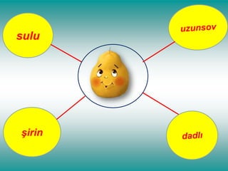sulu

şirin

 