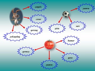 çəpgöz

yumru

cəsur
sarı

şirin

qorxaq
yekəqulaq

hamar

qırmızı
qara
yumru

 