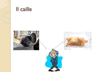 Il caille